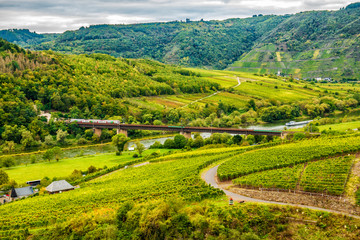 Eisenbahnbr&uuml;cke bei Ediger-Eller an der der Mosel