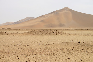 Fototapeta na wymiar Dune 7, Walvis Bay, Namibia