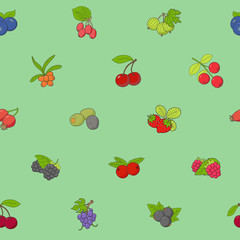 Berry background - Vector color seamless pattern of strawberry, raspberry, cherry, blueberry, cloudberry, dogrose and cranberry for graphic design