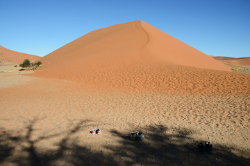 Fototapeta na wymiar Dune 45, Sossusvlei, Namib, Namibia