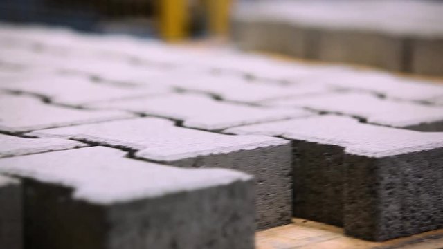Production Line Inside A Road Pavement Factory. Interlocked Pavement Blocks