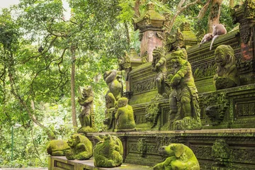 Fototapete Bali Monkey Forest - ein heiliger und beliebter Touristenort, Ubud, Gianyar Regency, Bali, Indonesien