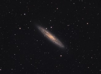 Naklejka na ściany i meble Galaxy NGC 253 in Sculptor, also known as 