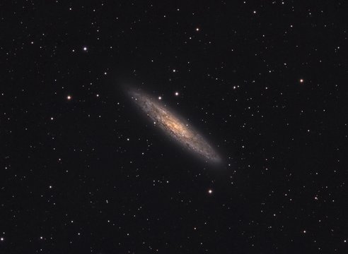 Galaxy NGC 253 in Sculptor, also known as "Silver Dollar", taken with a professional telescope. At the distance of 11 million light years, it's one of the closest and brightest galaxies in the sky.