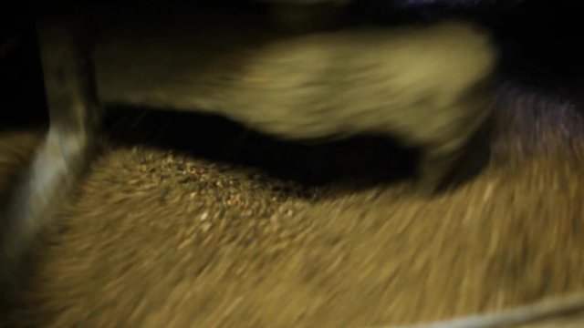 Industrial Sand Mixer Machine