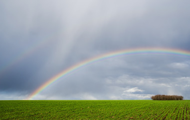 Naklejka premium two rainbows over green agriculture field