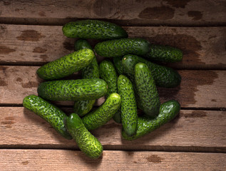 Fresh Organic Cucumbers