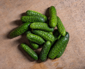 Fresh Organic Cucumbers