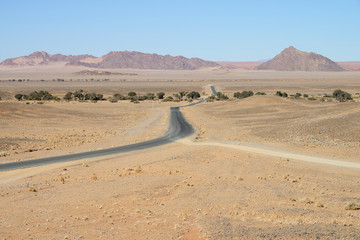 Fototapeta na wymiar Steppe, Namib desert, Namibia