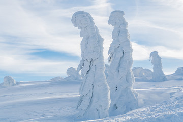 Fototapeta na wymiar Strange frozen trees as figures in Sudety mountain in Poland on winter.