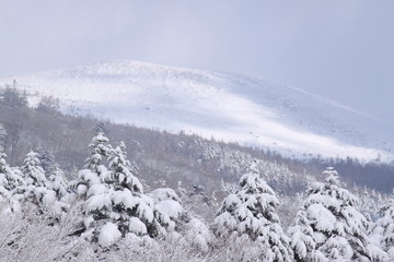 Fototapeta na wymiar 水ケ塚公園の雪景色