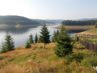 Mountain landscape with lake, trees and clouds