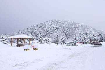 水ケ塚公園の雪景色