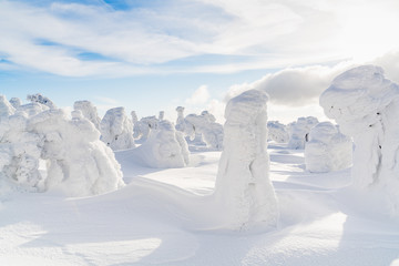 Strange frozen trees as figures in Sudety mountain in Poland on winter.