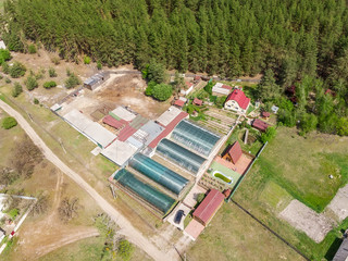 Aerial top view of green small modern poycarbonate greenhouse farm for growing organic natural vegetables and plants. Private farmland near forest landscape