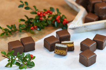 German traditional sweets called 'Dominosteine',  food sold around Christmas season consisting of gingerbread, jelly and marzipan layers and covered with chocolate icing 