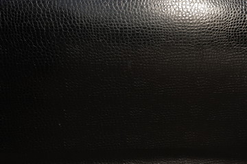 Detailed skin of a reptile. The body of the car under the film of snake skin.