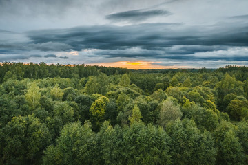 Aerial view on impressive storm clouds over forest in colorful sunset colors. Dark storm clouds covering the rural landscape. Intense rain shower in distance. 