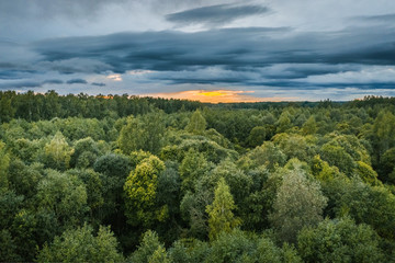 Aerial view on impressive storm clouds over forest in colorful sunset colors. Dark storm clouds...