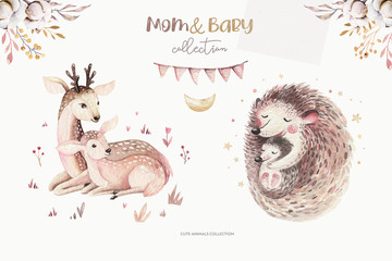 Watercolor little deer and hedgehog baby and mother watercolour bembi cartoon baby nursery. Forest funny young deer illustration. Fawn animal. Mom and baby decor - obrazy, fototapety, plakaty