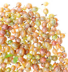 Gooseberry berries isolated on a white background