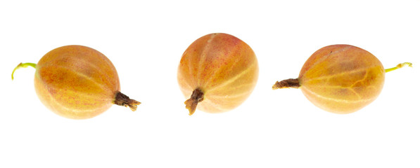 Gooseberry berries isolated on a white background