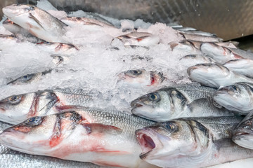 Fresh sea bass, Dicentrarchus labrax, on display on a market stall