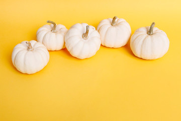 White baby boo pumpkins on yellow background