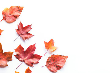 Autumn composition frame of autumn leaves on a white background. Flat position, top view, copy space