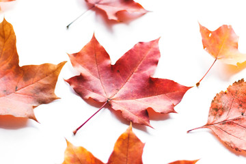Autumn composition of autumn leaves on a white background. Flat position, top view, copy space