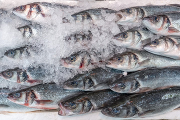 Fresh sea bass, Dicentrarchus labrax, on display on a market stall