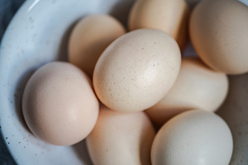 OLYMPUS DIGITAL CAMERA © Ewa