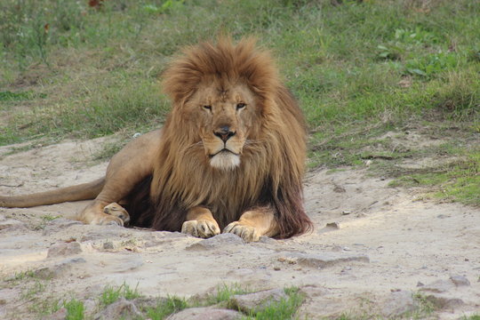 Hayvanlar alemini yakından inceledik