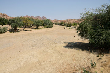 Dried-up riverbed, Namib, Namibia
