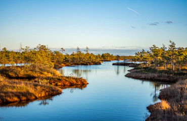 autumn landscape with lake and trees