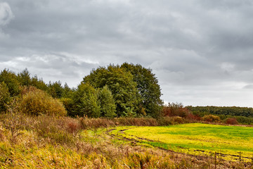 Autumn field. Road in the autumn field. Dramatic sky and orange trees.