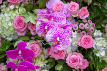 Fresh spring bouquet. Summer Background. Rich bunch of fresh flowers of pink peonies and lilac eustoma roses flowers, yellow lilies, orchid and green leaf.