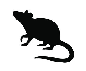 Vector black rat silhouette isolated on white background