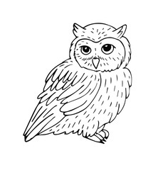 Vector hand drawn sketch sitting owl isolated on white background