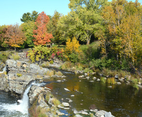 Vibrant orange, yellow, red and green fall colors on trees near waterfall