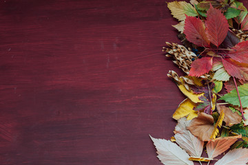 yellow and red leaves autumn red postcard background