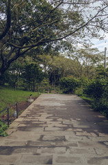 Fototapeta na wymiar walking area in garden of tea museum of jeju island