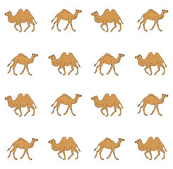 Vector seamless pattern of hand drawn sketch different camel silhouette isolated on white background