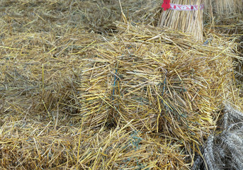 Haystack on a farm in the countryside. Straw background.