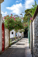 Street in Capri Island, Europe, Italy