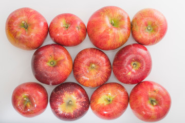 日本の林檎（Japanese apple）