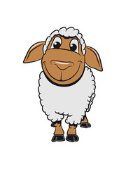 Schaf Weide fressen schnuppern zufrieden Herde Wolle Nutztier grasen süß lustig 3c