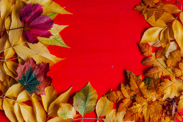 yellow and red leaves autumn red postcard background