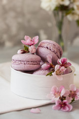 pink macaroons with flower  on concrete  table.