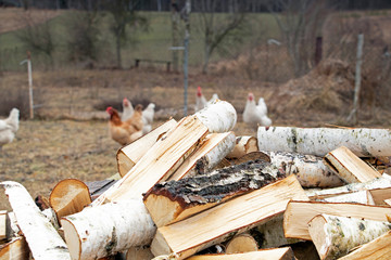 Firewood logs on the ground. Natural background with copy space